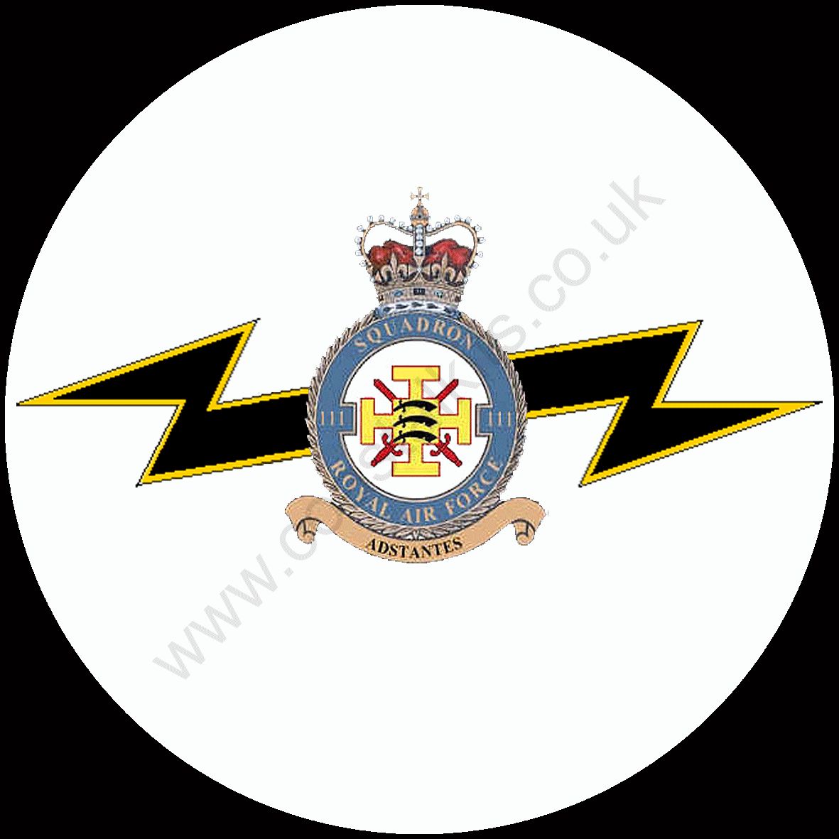 Squadron Insignia