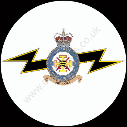 Squadron Insignia