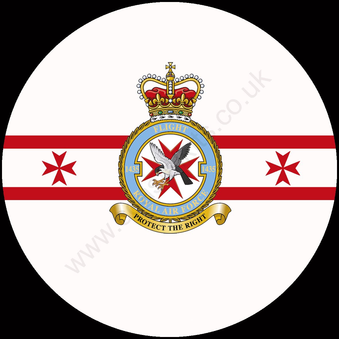 Squadron Insignia