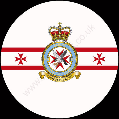 Squadron Insignia