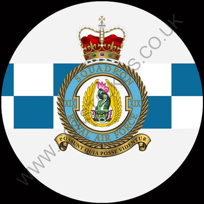 Squadron Insignia