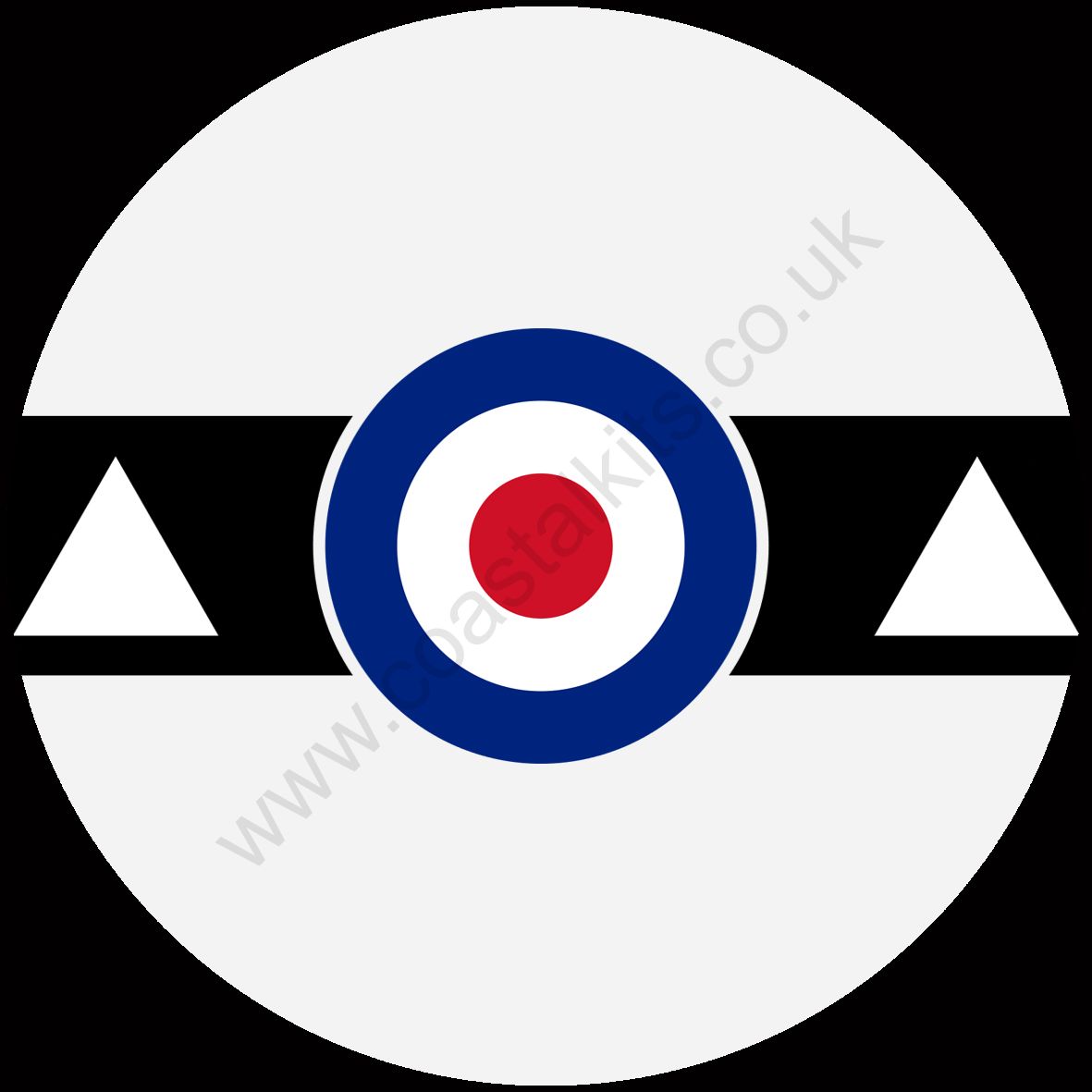Squadron Insignia