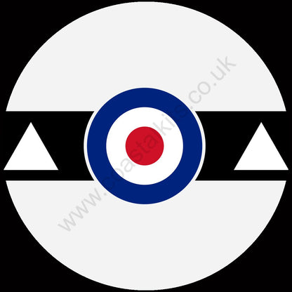 Squadron Insignia
