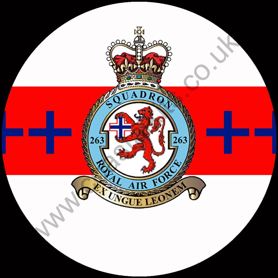Squadron Insignia