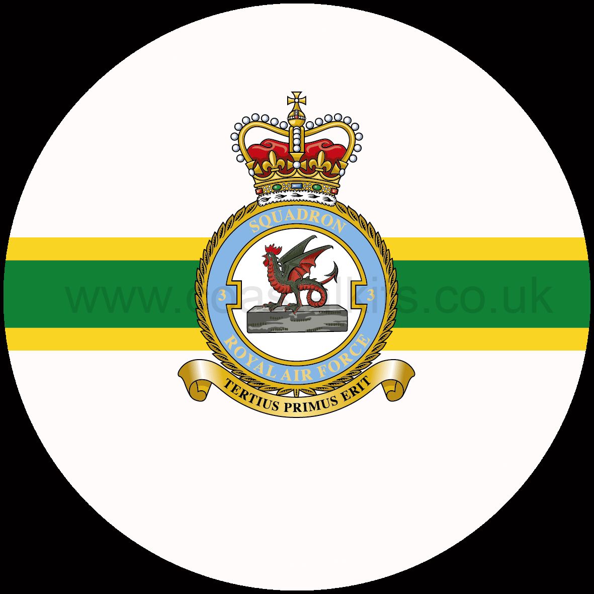 Squadron Insignia