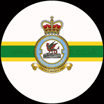 Squadron Insignia