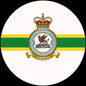 Squadron Insignia