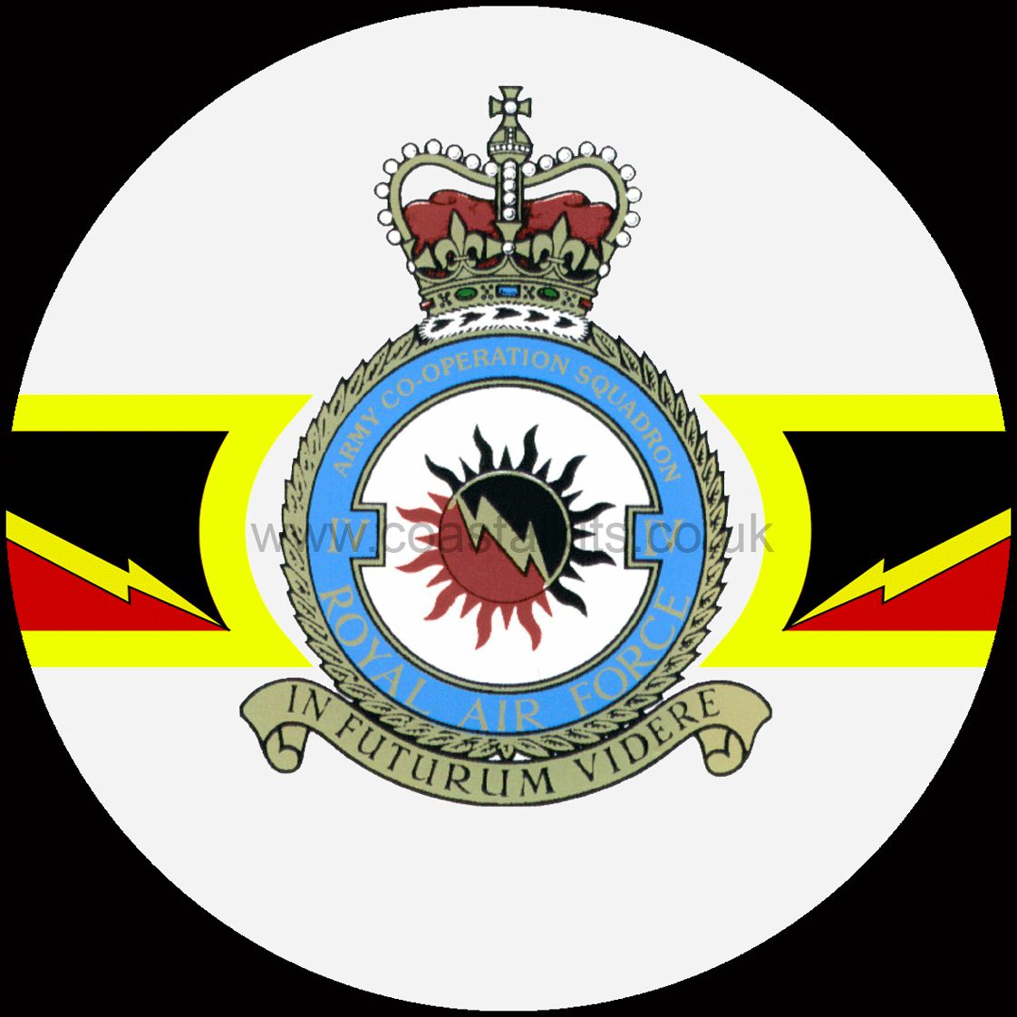 Squadron Insignia