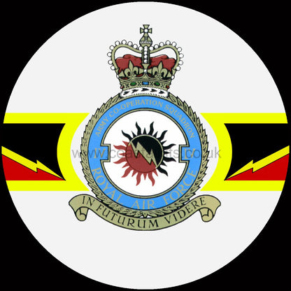 Squadron Insignia