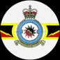 Squadron Insignia