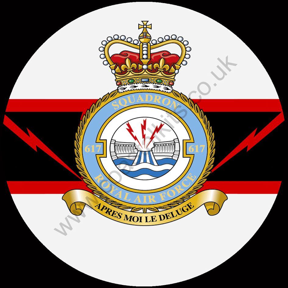 Squadron Insignia