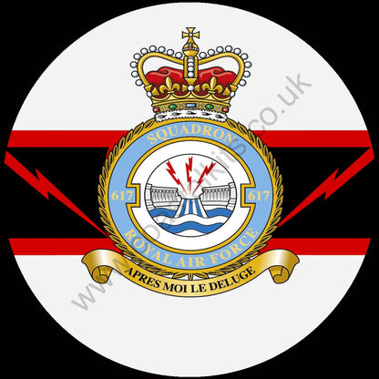 Squadron Insignia