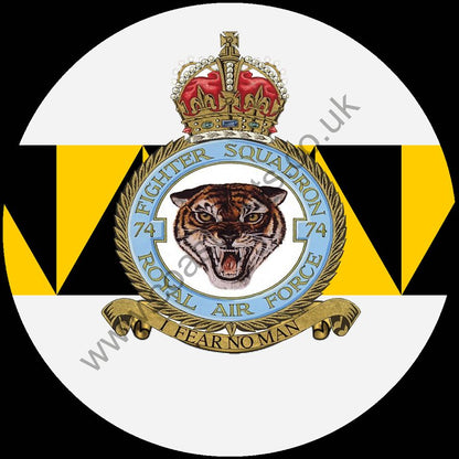 Squadron Insignia