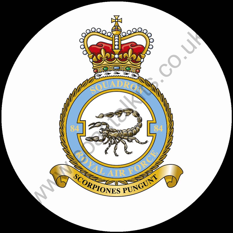 Squadron Insignia