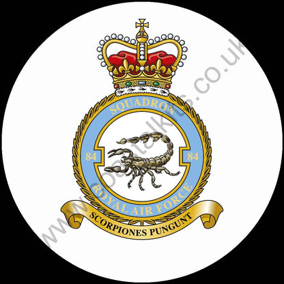 Squadron Insignia