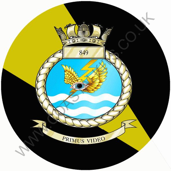 Squadron Insignia