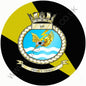 Squadron Insignia