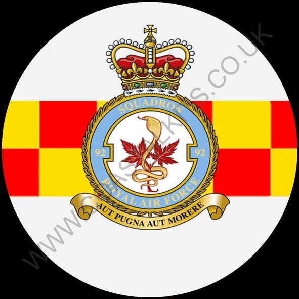 Squadron Insignia