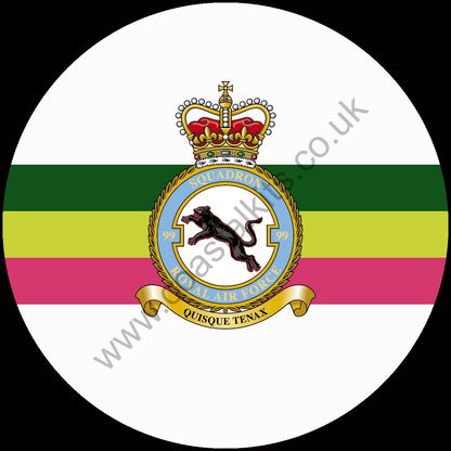 Squadron Insignia