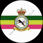 Squadron Insignia