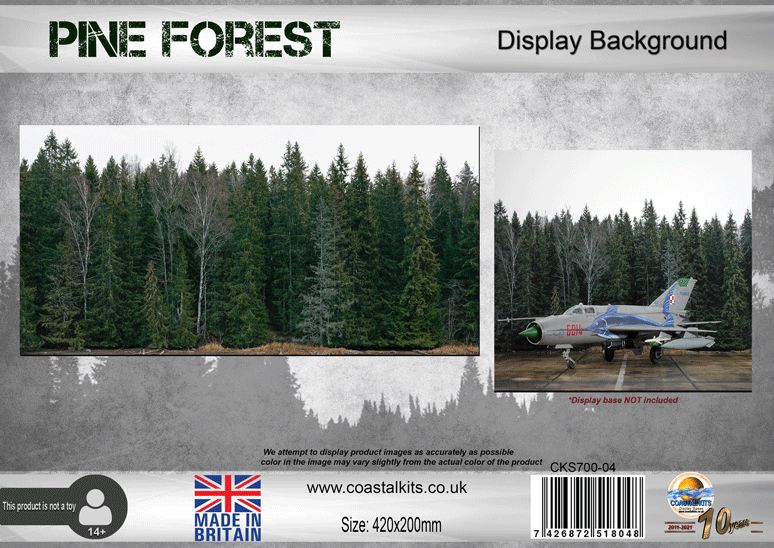 Pine Forest Background