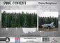 Pine Forest Background
