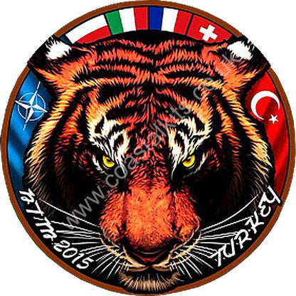 Squadron Insignia