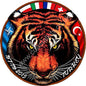 Squadron Insignia