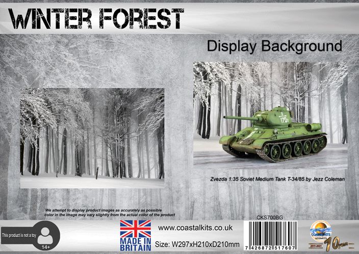 Winter Forest Background 