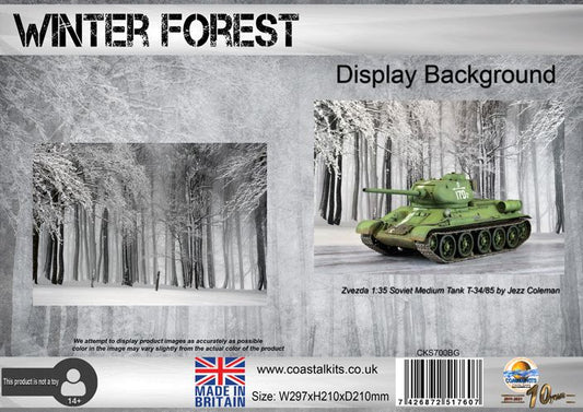 Winter Forest Background 