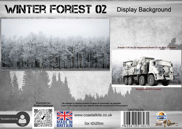 Winter Forest 02 Background