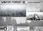 Winter Forest 02 Background